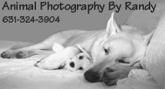 Animal Photography Logo